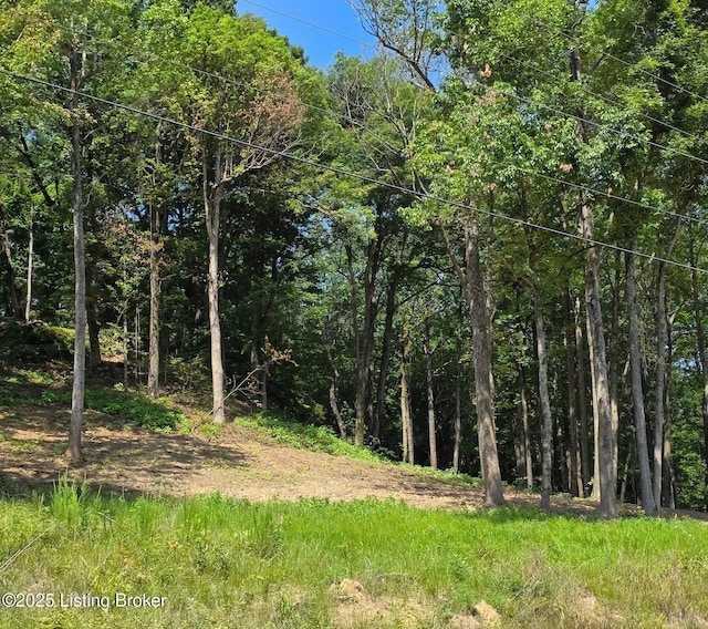 0 Cave Creek Rd, Falls Of Rough, KY 40119