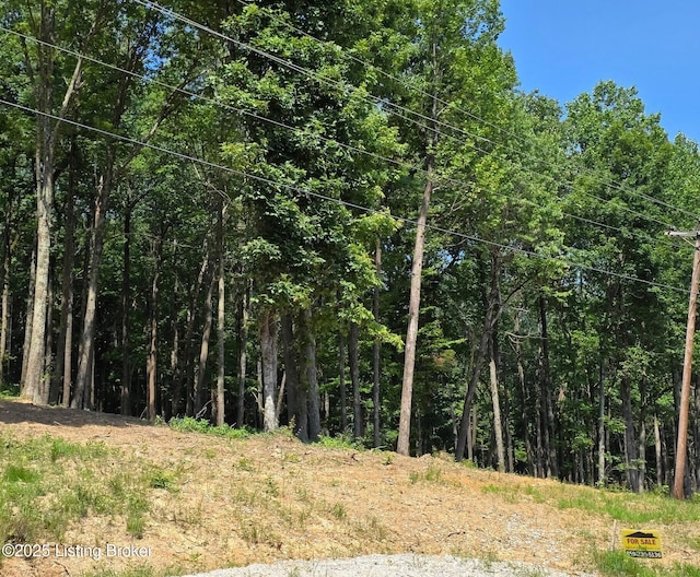0 Cave Creek Rd, Falls Of Rough, KY 40119
