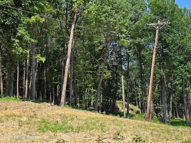 0 Cave Creek Rd, Falls Of Rough, KY 40119