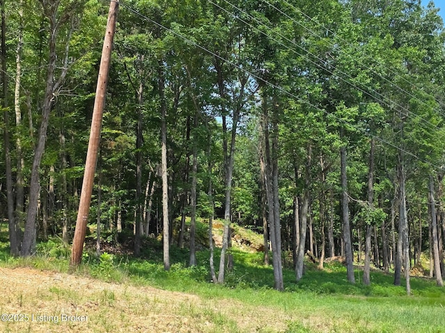 0 Cave Creek Rd, Falls Of Rough, KY 40119