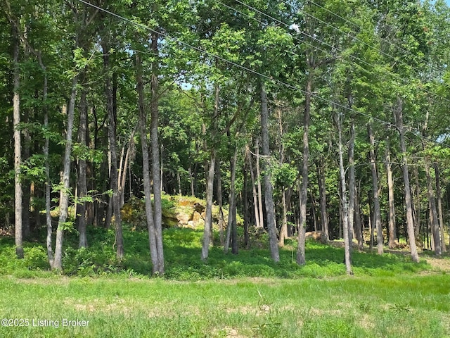 0 Cave Creek Rd, Falls Of Rough, KY 40119