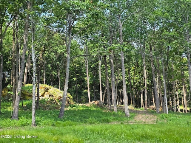0 Cave Creek Rd, Falls Of Rough, KY 40119