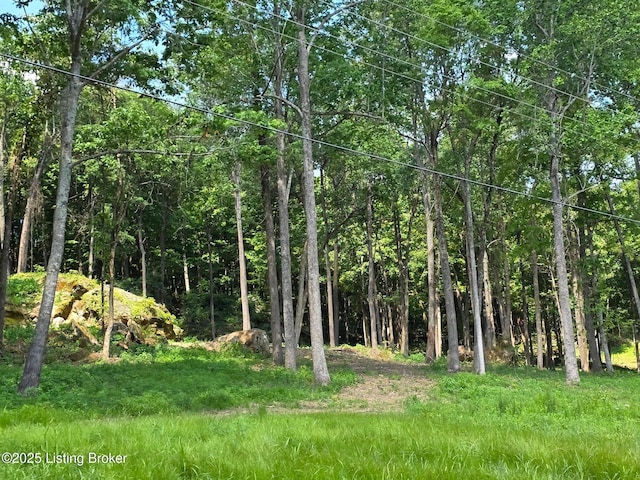0 Cave Creek Rd, Falls Of Rough, KY 40119