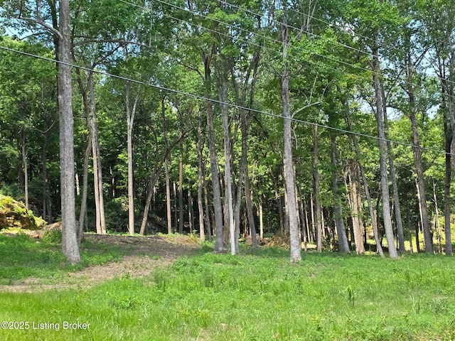 0 Cave Creek Rd, Falls Of Rough, KY 40119