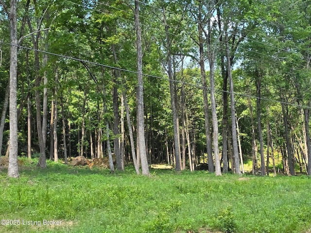 0 Cave Creek Rd, Falls Of Rough, KY 40119