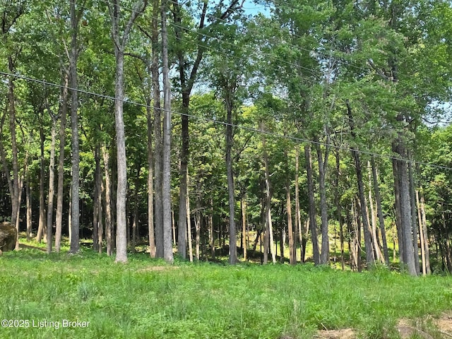 0 Cave Creek Rd, Falls Of Rough, KY 40119