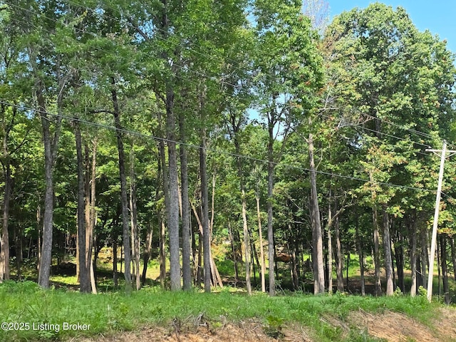 0 Cave Creek Rd, Falls Of Rough, KY 40119