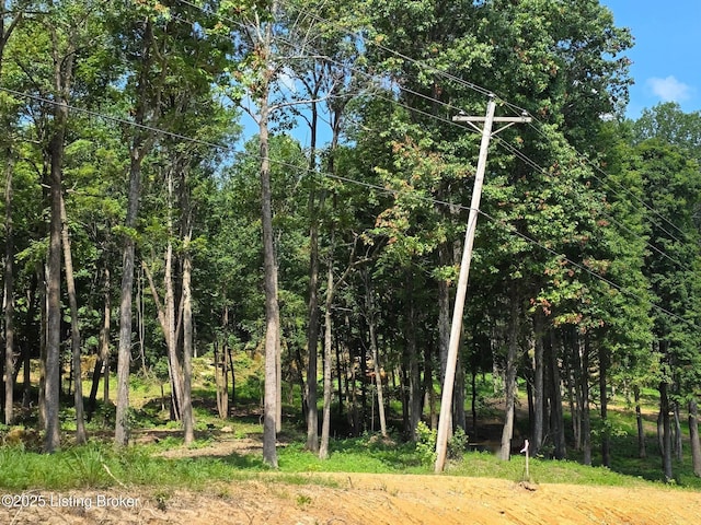 0 Cave Creek Rd, Falls Of Rough, KY 40119