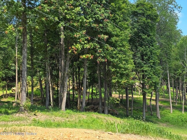 0 Cave Creek Rd, Falls Of Rough, KY 40119
