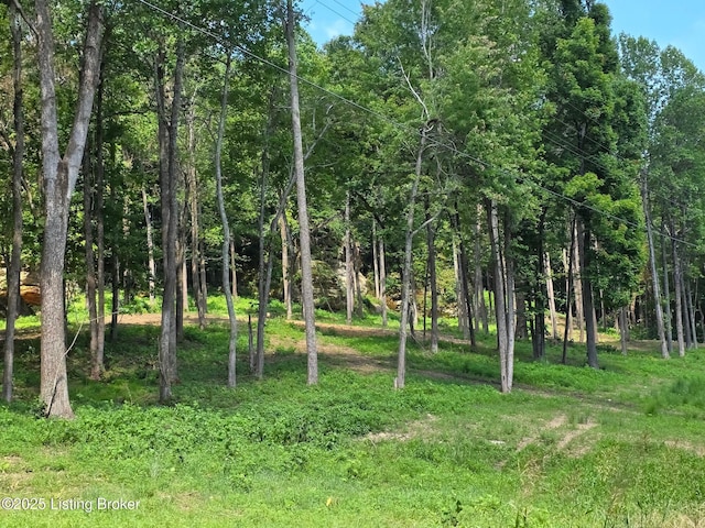 0 Cave Creek Rd, Falls Of Rough, KY 40119