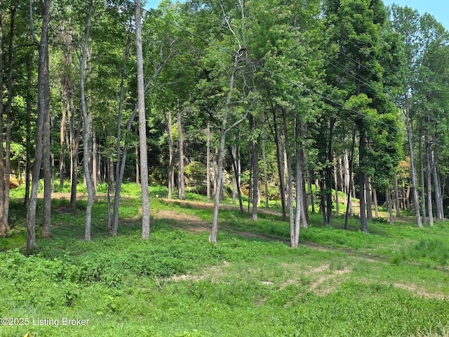 0 Cave Creek Rd, Falls Of Rough, KY 40119