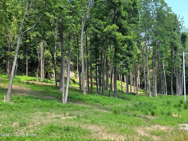 0 Cave Creek Rd, Falls Of Rough, KY 40119