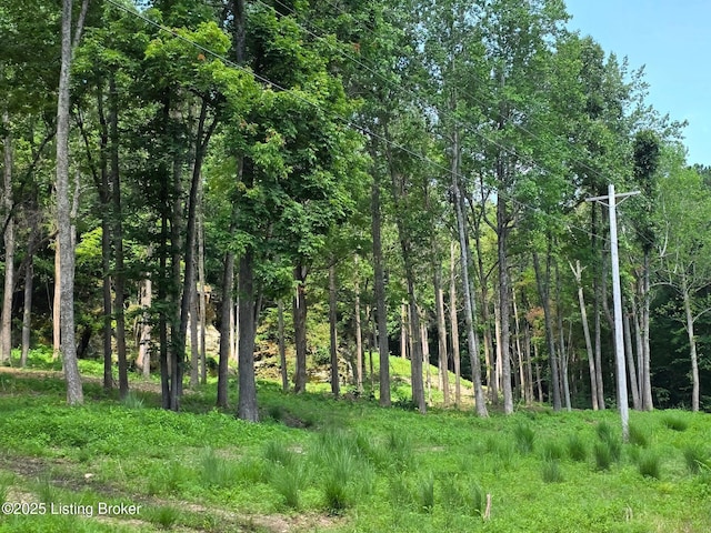 0 Cave Creek Rd, Falls Of Rough, KY 40119