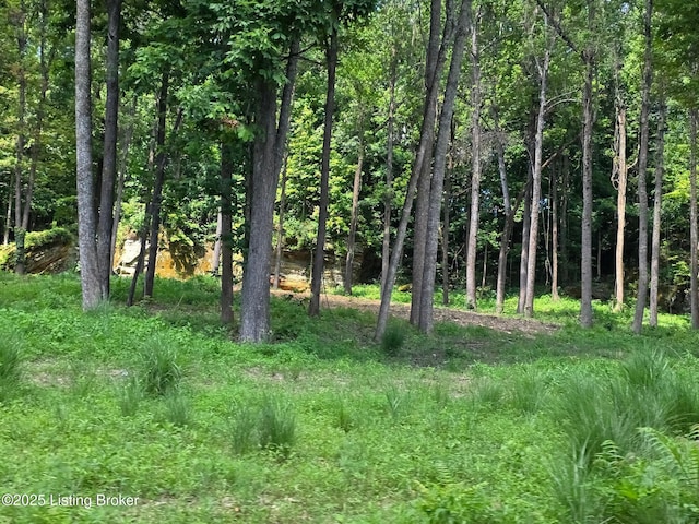 0 Cave Creek Rd, Falls Of Rough, KY 40119