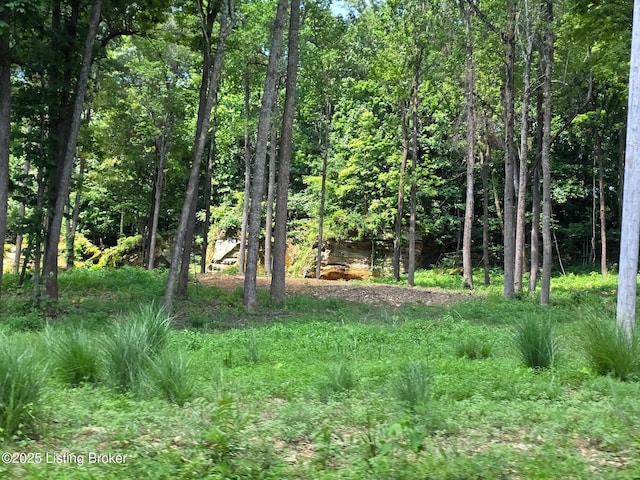0 Cave Creek Rd, Falls Of Rough, KY 40119