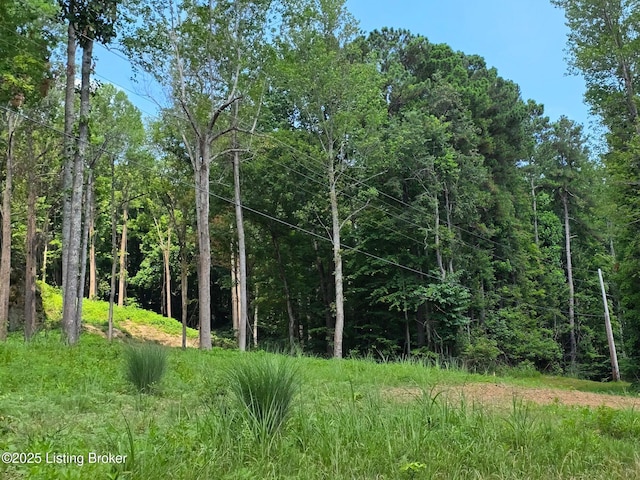 0 Cave Creek Rd, Falls Of Rough, KY 40119