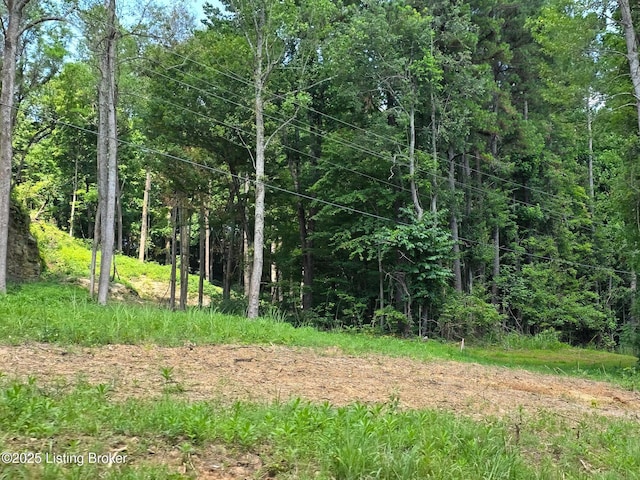0 Cave Creek Rd, Falls Of Rough, KY 40119