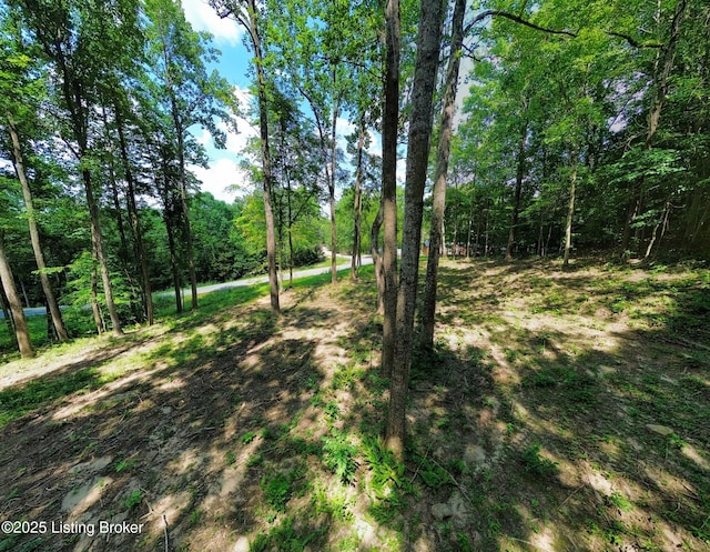 0 Cave Creek Rd, Falls Of Rough, KY 40119