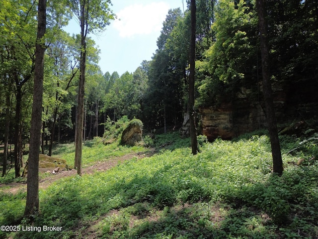 0 Cave Creek Rd, Falls Of Rough, KY 40119