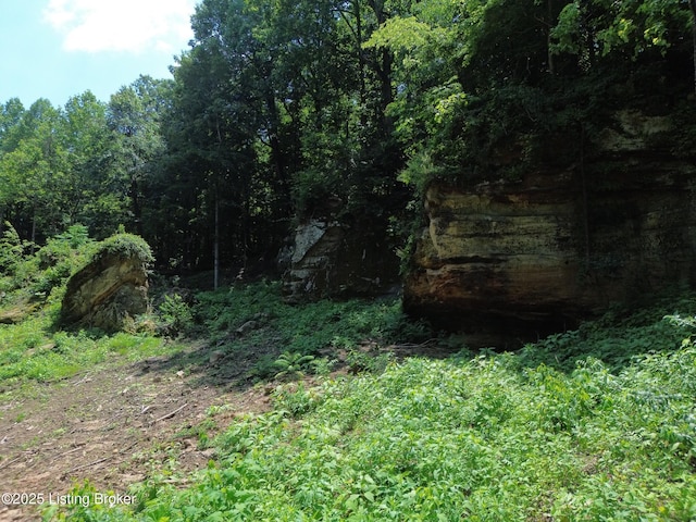 0 Cave Creek Rd, Falls Of Rough, KY 40119