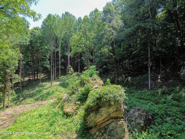 0 Cave Creek Rd, Falls Of Rough, KY 40119