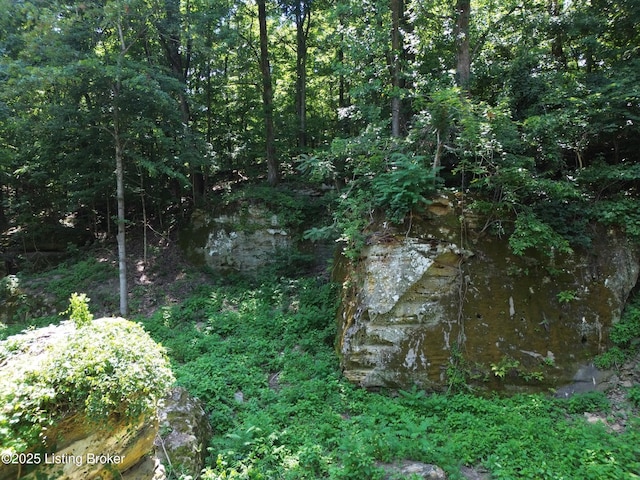 0 Cave Creek Rd, Falls Of Rough, KY 40119