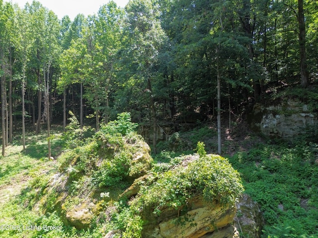 0 Cave Creek Rd, Falls Of Rough, KY 40119