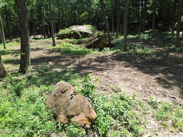 0 Cave Creek Rd, Falls Of Rough, KY 40119