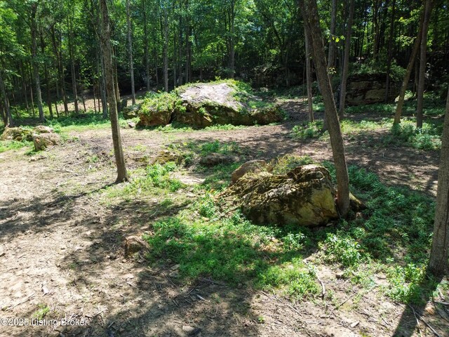 0 Cave Creek Rd, Falls Of Rough, KY 40119