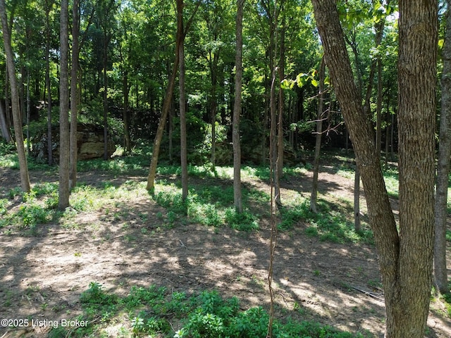 0 Cave Creek Rd, Falls Of Rough, KY 40119
