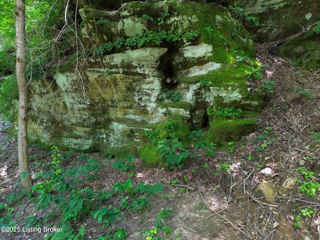 0 Cave Creek Rd, Falls Of Rough, KY 40119