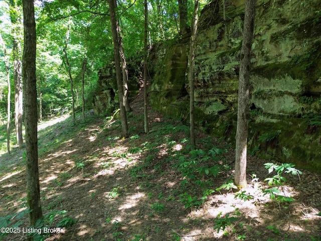 0 Cave Creek Rd, Falls Of Rough, KY 40119
