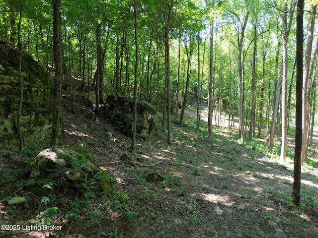 0 Cave Creek Rd, Falls Of Rough, KY 40119