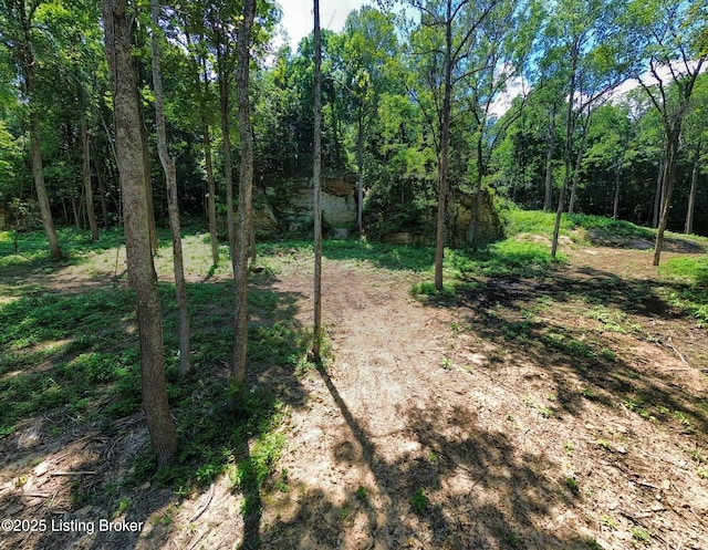 0 Cave Creek Rd, Falls Of Rough, KY 40119
