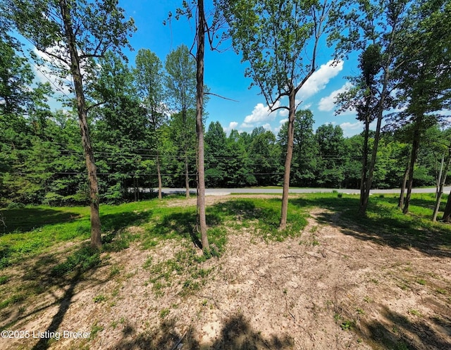 0 Cave Creek Rd, Falls Of Rough, KY 40119