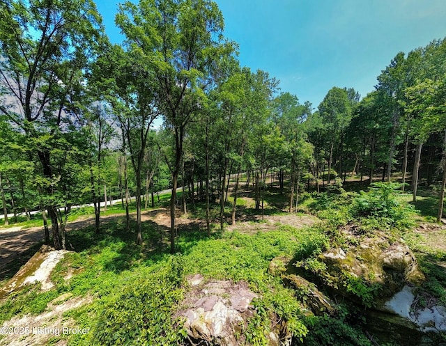 0 Cave Creek Rd, Falls Of Rough, KY 40119