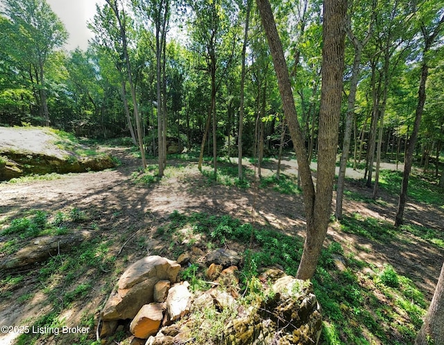 0 Cave Creek Rd, Falls Of Rough, KY 40119