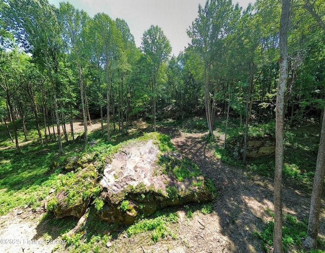 0 Cave Creek Rd, Falls Of Rough, KY 40119