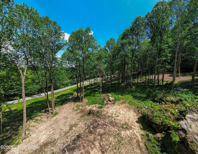 0 Cave Creek Rd, Falls Of Rough, KY 40119