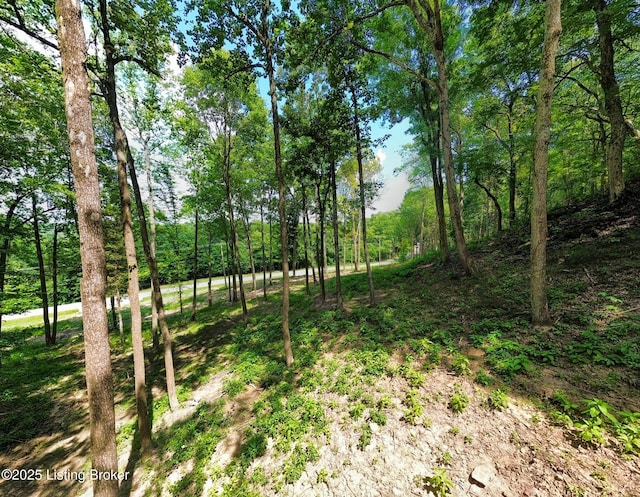 0 Cave Creek Rd, Falls Of Rough, KY 40119