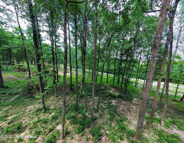 0 Cave Creek Rd, Falls Of Rough, KY 40119