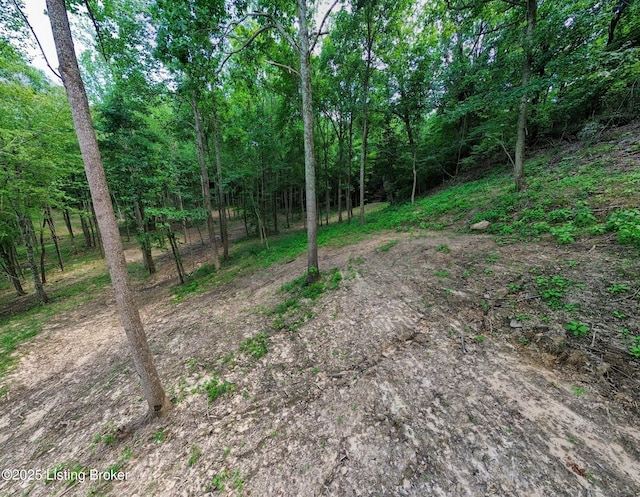 0 Cave Creek Rd, Falls Of Rough, KY 40119