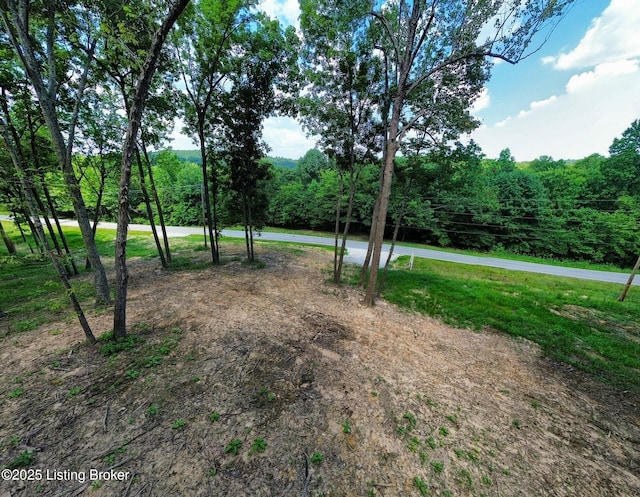 0 Cave Creek Rd, Falls Of Rough, KY 40119