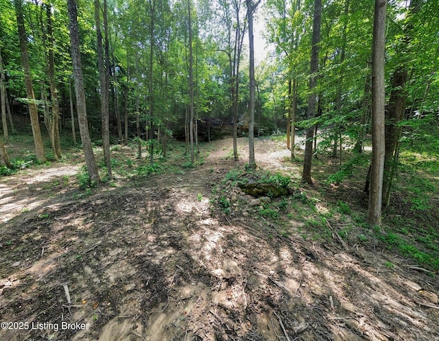 0 Cave Creek Rd, Falls Of Rough, KY 40119