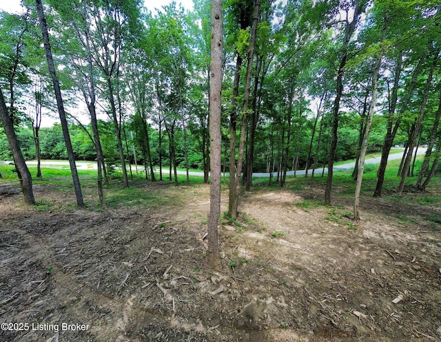 0 Cave Creek Rd, Falls Of Rough, KY 40119