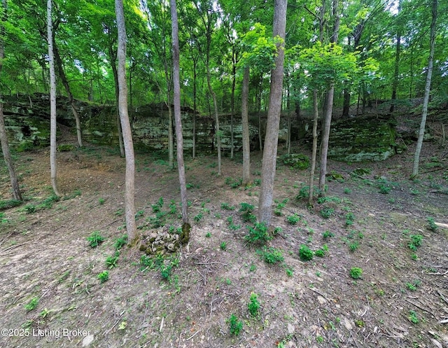 0 Cave Creek Rd, Falls Of Rough, KY 40119