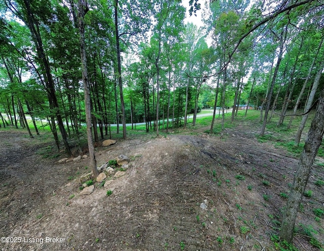 0 Cave Creek Rd, Falls Of Rough, KY 40119