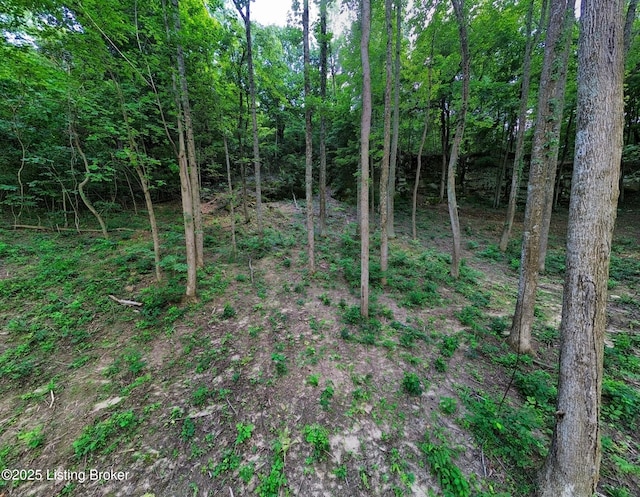 0 Cave Creek Rd, Falls Of Rough, KY 40119