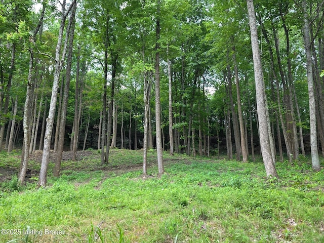 7 Cave Creek Rd, Falls Of Rough, KY 40119