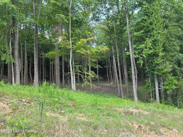 7 Cave Creek Rd, Falls Of Rough, KY 40119